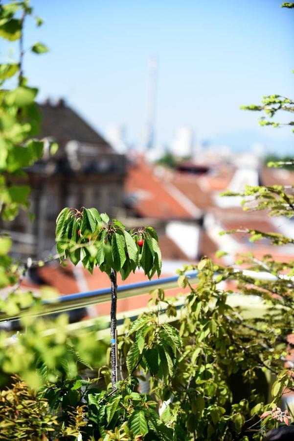 Zagreb Rooftops 外观 照片